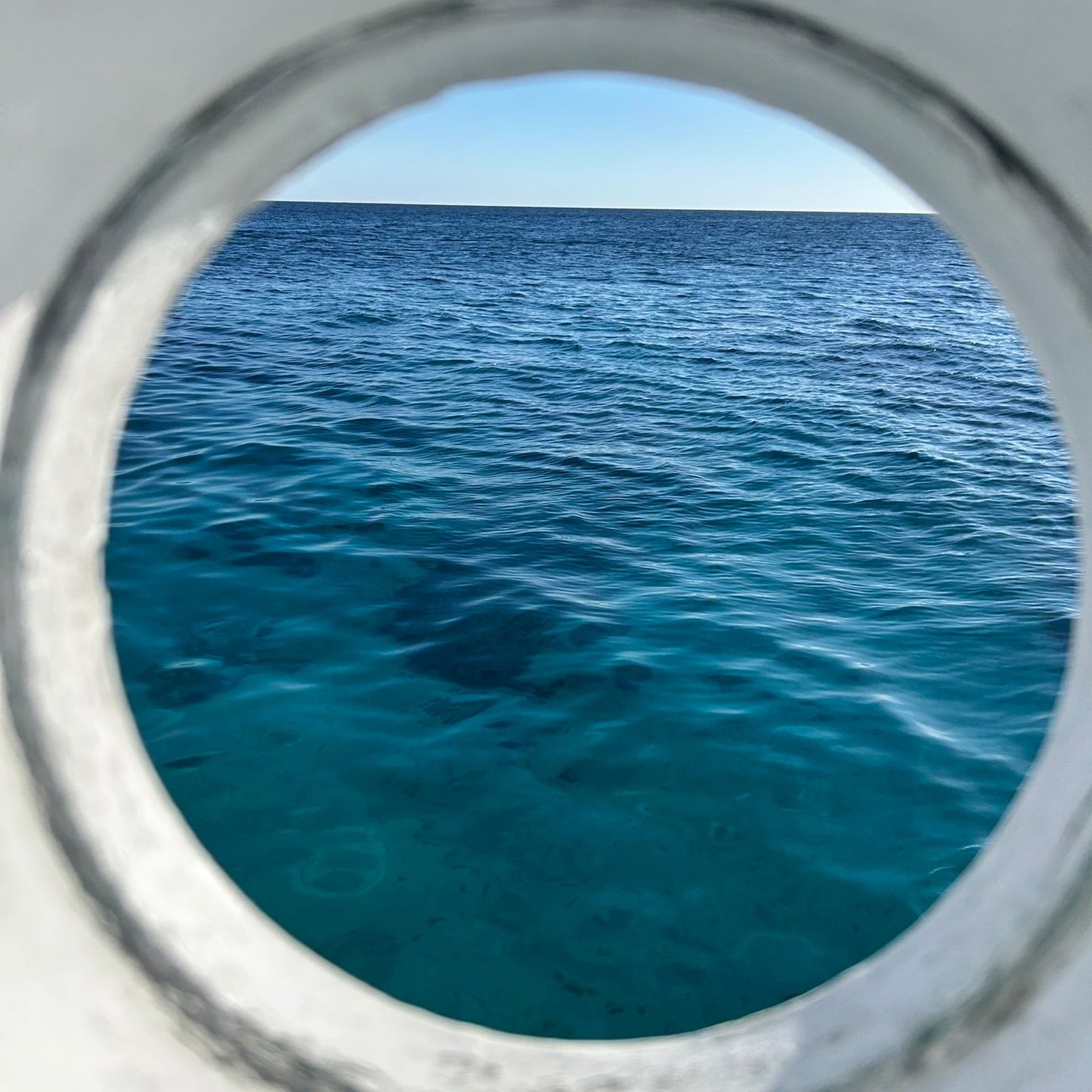 Chaqueta Astronautas del Mar